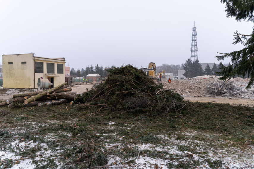 Elbląg, Z terenu budowy zniknie ponad 200 drzew