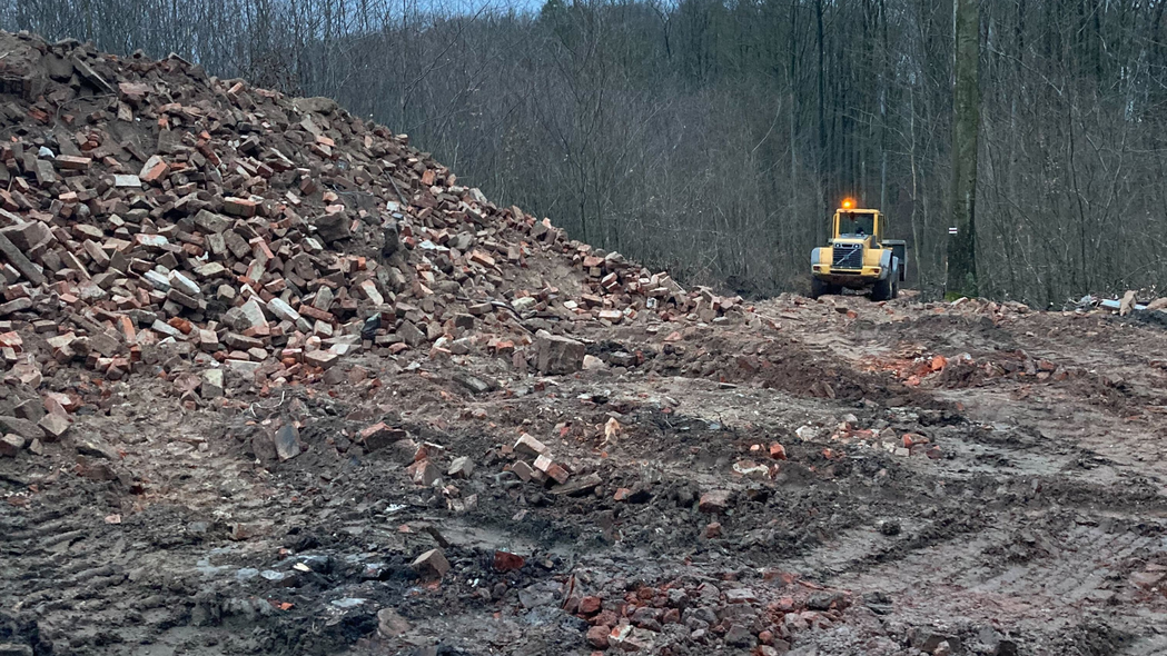 Elbląg, Trwają prace leśne pomiędzy Próchnikiem a Łęczem