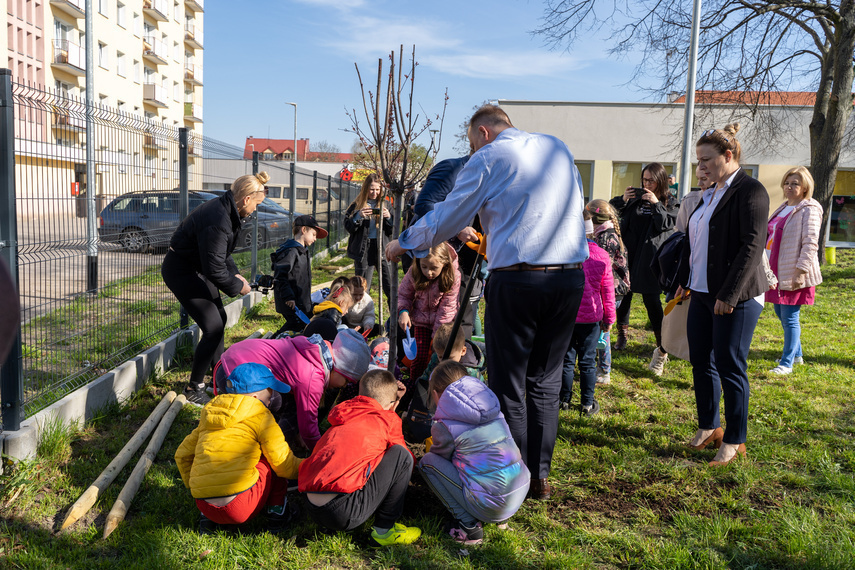 Elbląg, Wiceprezydent Michał Missan wraz z przedszkolakami sadził drzewa