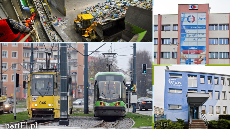 Elbląg, Majątki szefów elbląskich spółek pod lupą