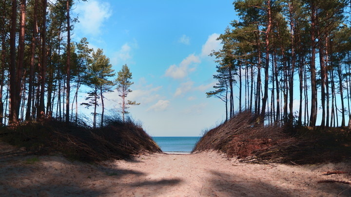 Elbląg, Wejście na plażę w Stegnie,.