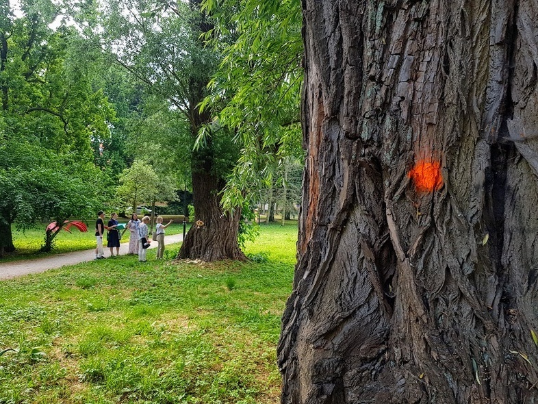 Elbląg, Czerwcowa wizja lokalnia,