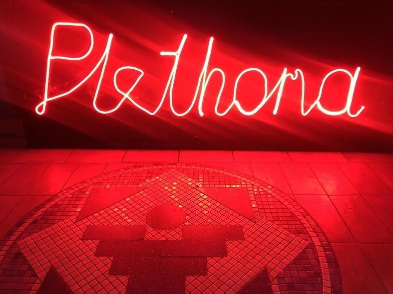 Plethora - nowe spojrzenie na restaurację w Elblągu