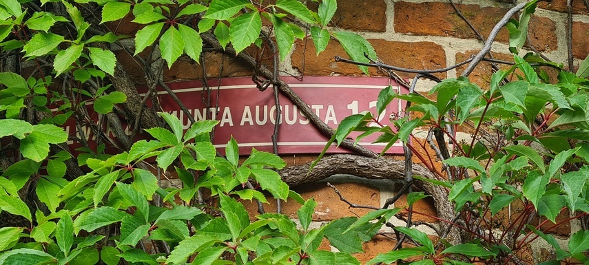 Elbląg, Odkryj tajemnice Elbląga podczas spaceru z przewodnikiem PTTK