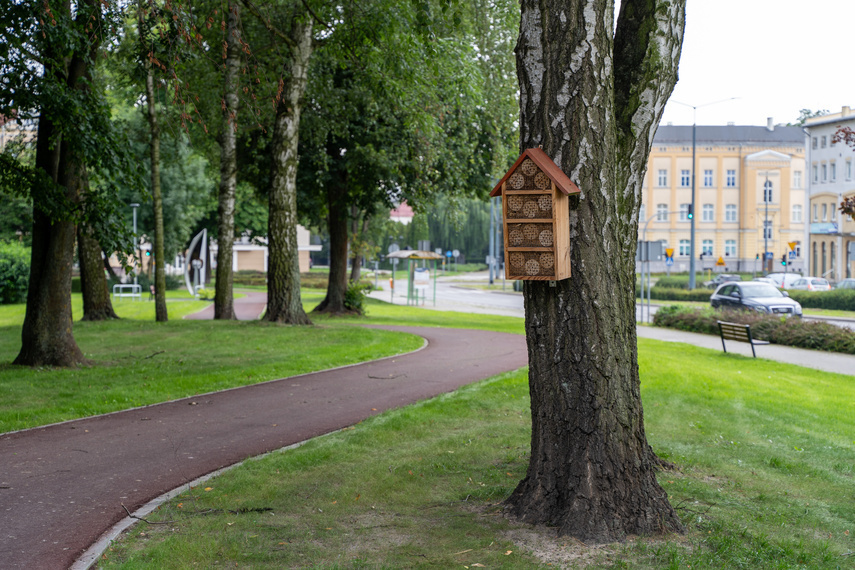 Elbląg, Park Planty prawie gotowy po modernizacji