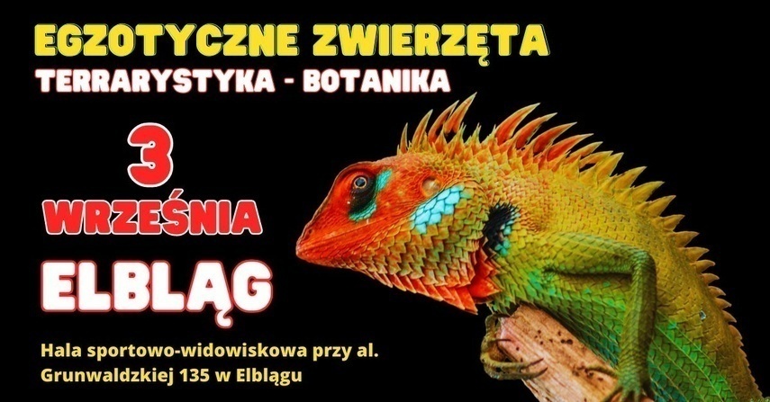 Zobacz z bliska egzotyczne zwierzęta!