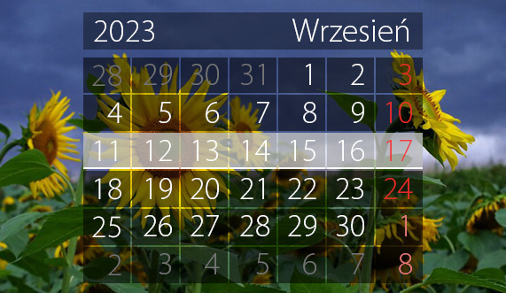 Elbląg, W tym tygodniu portEl poleca: Dni Seniora, Noc Muzeów, bitwa na Zalewie i planszówki