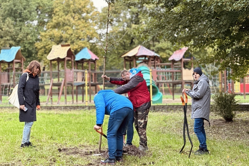 Elbląg, Sadzimy, nie wycinamy