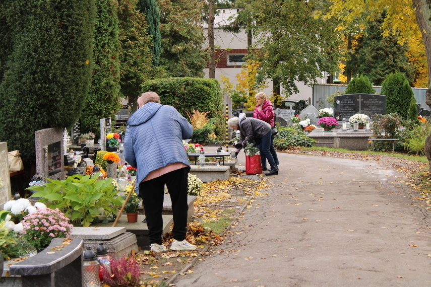 Elbląg, Elblążanie przygotowują się do Wszystkich Świętych