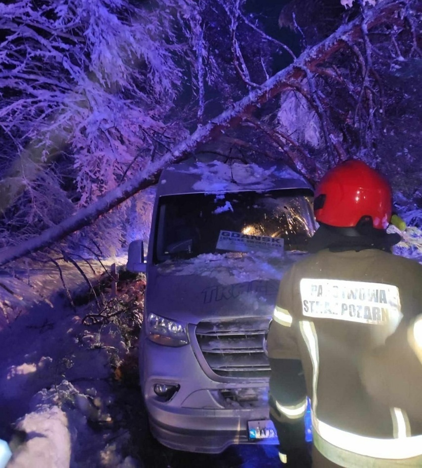 Elbląg, Drzewo spadło na busa