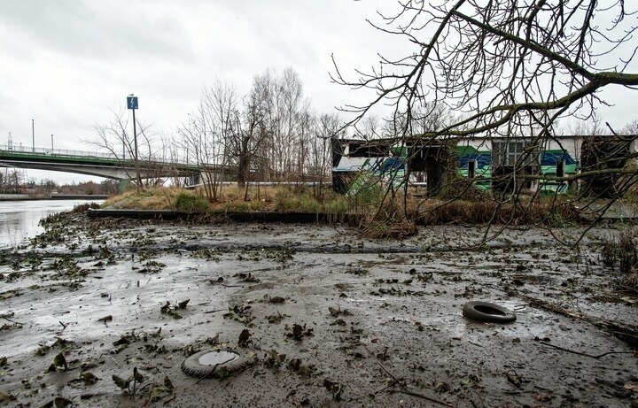 Elbląg, Fragment miejskiej fosy zamienił się w błotnisko