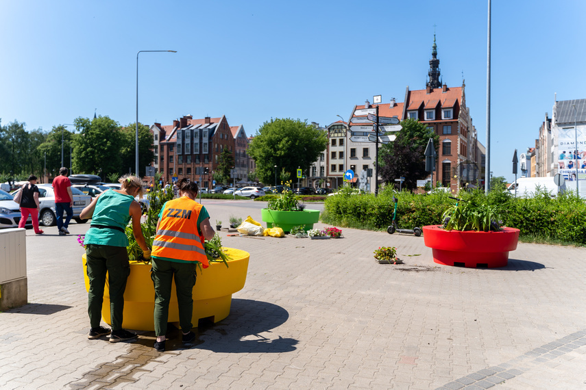 Elbląg, Bardziej kolorowo na 1 Maja