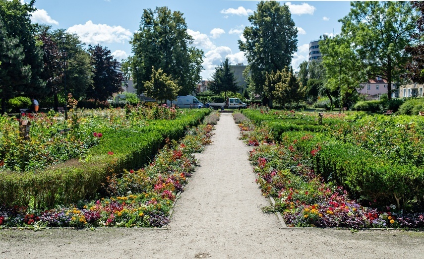 Elbląg, Ile kosztuje utrzymanie miejskiej zieleni