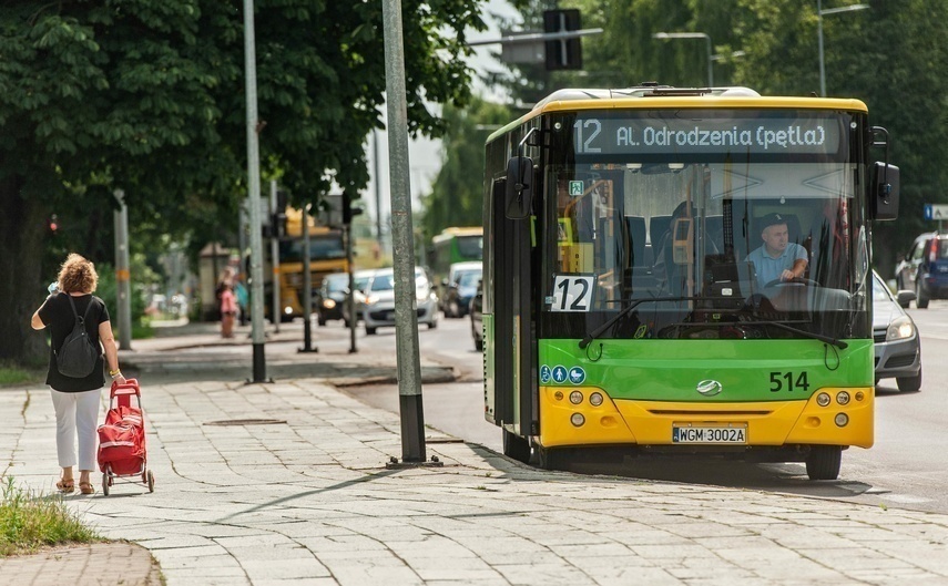 Elbląg, Około 900 ankiet w sprawie komunikacji miejskiej