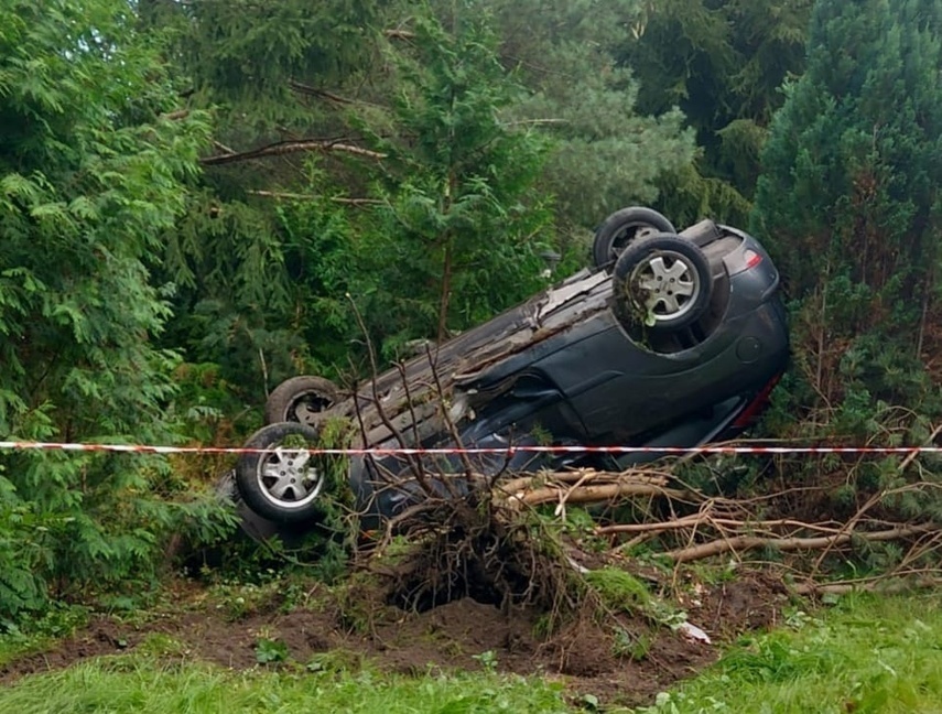 Elbląg, Młodość, alkohol i ford na dachu