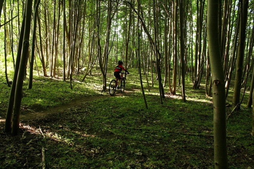 Elbląg, Pomysł na rowerowe szlaki w Bażantarni