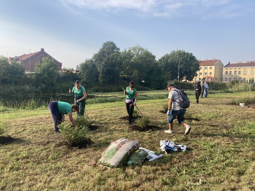 Elbląg, Zawodzie bardziej zielone