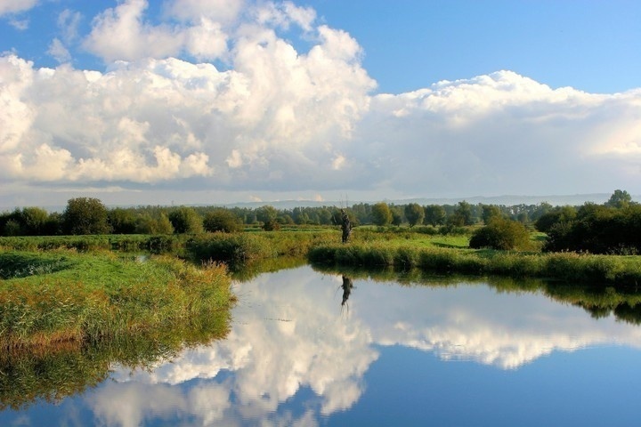 Elbląg, fot.