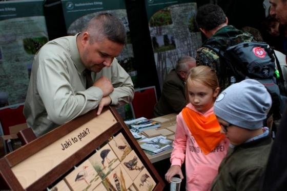 Elbląg, Ptasi Piknik na Mierzei