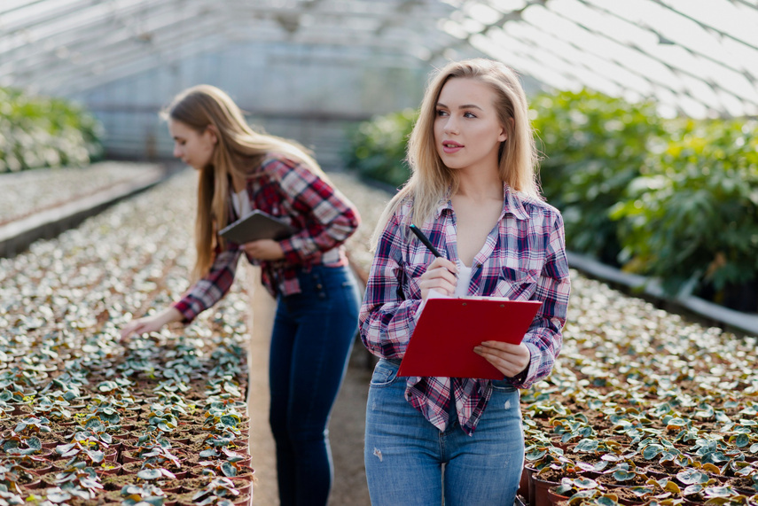 Od pola do bukietu: jak studia rolnicze i florystyka idą w parze?