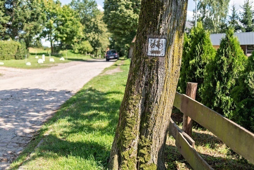 Elbląg, Canal Velo w szczególe i w ogóle