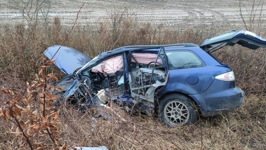 Elbląg, Uderzyła w drzewo, zginęła na miejscu