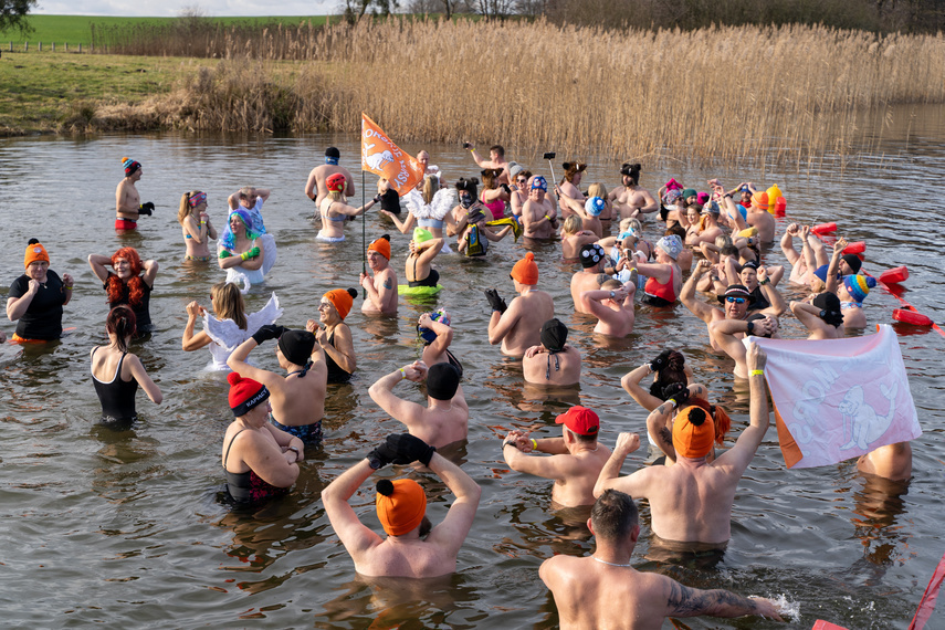 Elbląg, Do jeziora Korsuń weszło ponad 200 morsów,