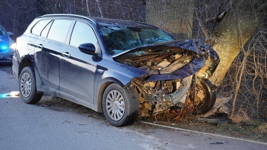 Elbląg, Kierowca fiata wjechał w drzewo