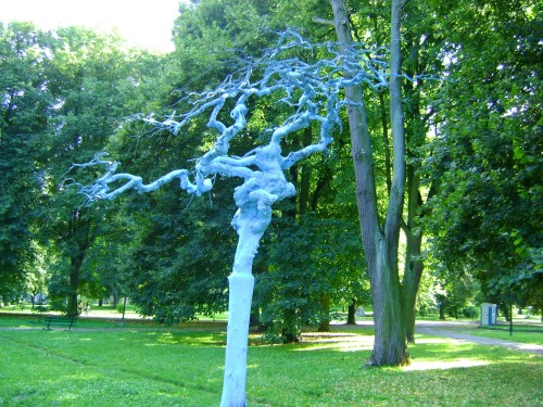 Elbląg, Niezapominajka w parku Traugutta