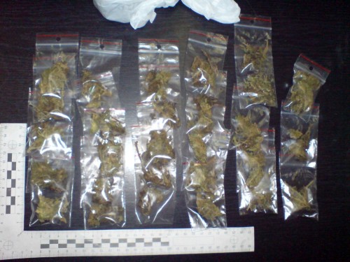 Elbląg, W mieszkaniu 23-latka policjanci znaleźli m.in. marihuanę