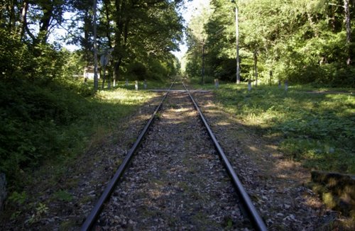 Elbląg, Oferta obejmuje wycieczkę pociągiem po malowniczym terenie nad Zalewem Wiślanym