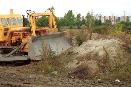 Elbląg, Porządki na Modrzewinie