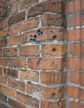 Elbląg, Kubki pokutne na murze kościoła pod wezwaniem św. Jakuba w Tolkmicku