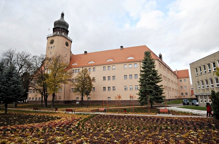 Elbląg, Urzędnicy w sieci