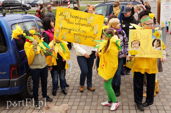 Elbląg, Pola Nadziei 2015 na starcie… czekamy na zgłoszenia placówek!