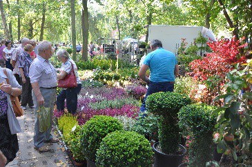 Elbląg, XXII Jesienne Targi Ogrodniczo - Nasienne w Starym Polu