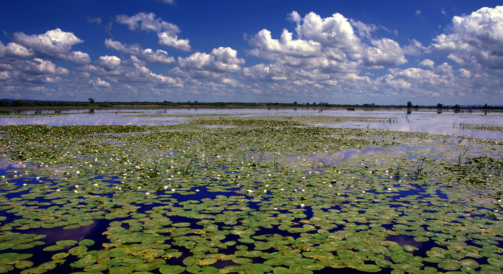 Elbląg, Jezioro Druzno to jedno z najchętniej fotografowanych miejsc w regionie