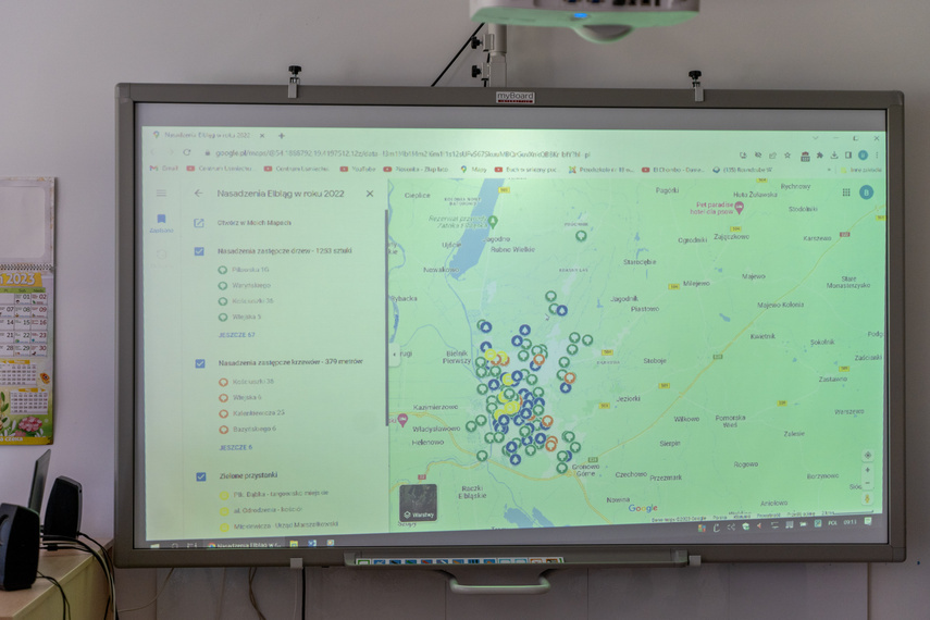 Elbląg, Ekologiczna mapa nasadzeń (bez aktualizacji)