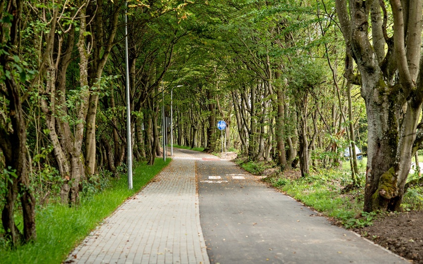 Elbląg, Ścieżka rowerowa biegnie w ciągu alei drzew