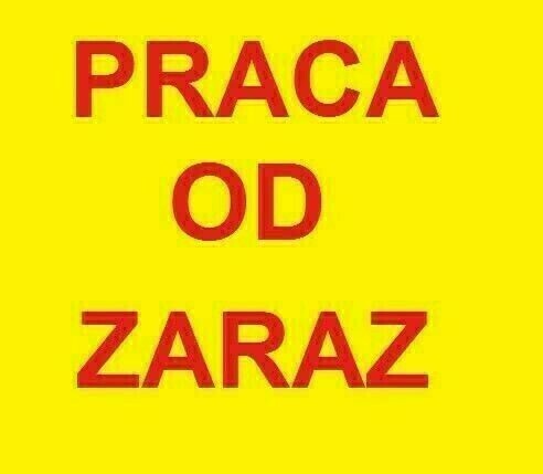 Elbląg PRACA W PRZEPROWADZKACH. Wymagania: prawo jazdy kat. B, zdolność do noszenia mebli, sprawność fizyczna,