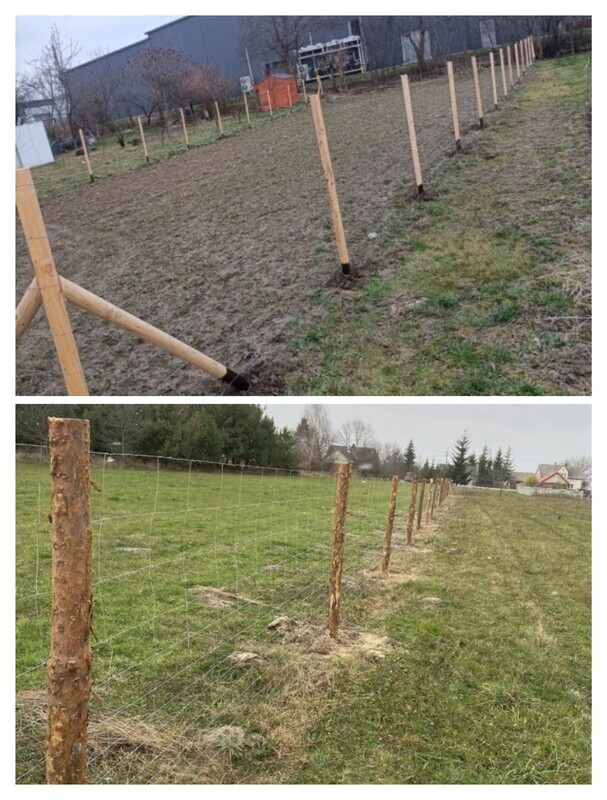 Elbląg Ogrodzenie ogrodzenia leśne tymczasem budowlane