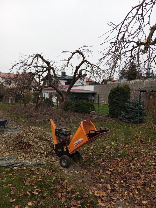 Elbląg SZUKAM PRACY DORYWCZEJ, MOGĘ PRZYCIĄĆ DRZEWKA, OGRODOWE ROZBIÓRKI, MOGĘ OPRÓŻNIĆ UPORZĄDKOWAĆ GARAŻ, ALTANY,