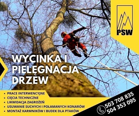 Elbląg WYCINKA I PIELĘGNACJA DRZEW W MIEJSCACH TRUDNO DOSTĘPNYCHWYCINKA I PIELĘGNACJA DRZEWPODCIĘCIA DRZEW