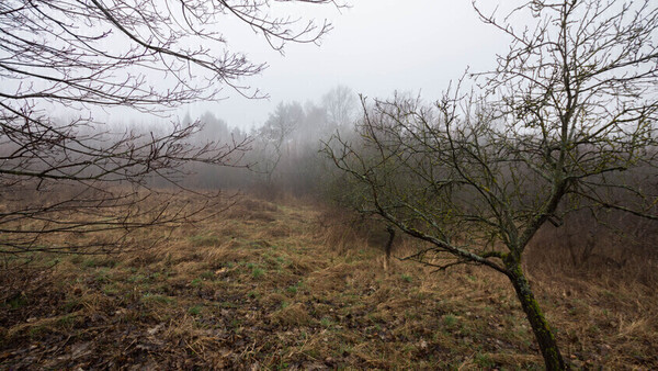 Elbląg * * * ABC NIERUCHOMOŚCI * * *UROKLIWA DZIAŁKA BLISKO ELBLĄGAo pow. 3052 m2możliwość uzyskania