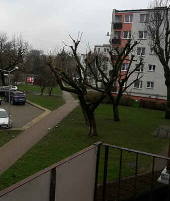 Elbląg Kawalerka do remontu - Elbląg, Teatralna, Sielanka - 1 piętro, balkon, widna piwnica, dwa parkingi