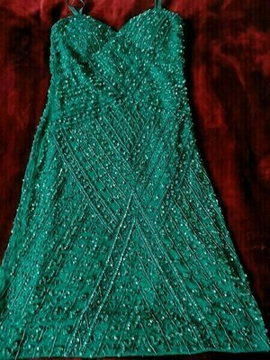 Elbląg Cekinowa sukienka Firmy CARRY ALLE-  Ella Singh
Zjawiskowa, bogato zdobiona sukienka, luksusowej marki.