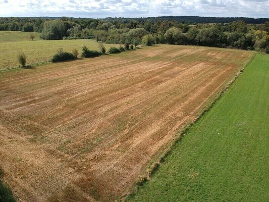 Elbląg BIURO NIERUCHOMOŚCISZULC& SZULCDziałka rolna - Dobry, gmina GodkowoPowierzchnia: 8900 m2Działki rolne w