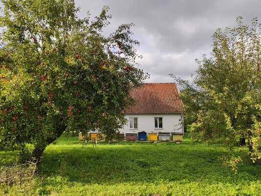 Elbląg Sprzedam siedlisko i ziemię. (REZERWACJA!!!)