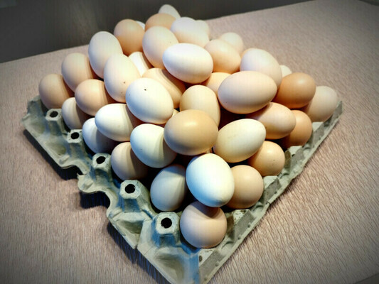 Jajka, jajeczka -świeże-zdrowe-od młodych kur. 
Nie ma nic lepszego jak jajka od kurek ze wsi. 
Karmione bujną
