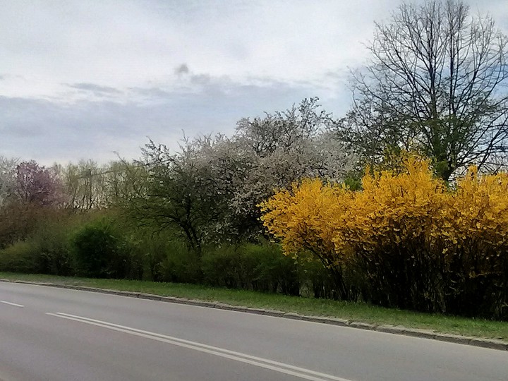 Wiosenne kolory. Wiosna wiosna wiosna.... Ach to Ty